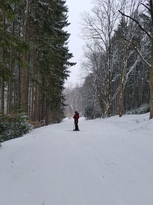 20170210_160218.jpg