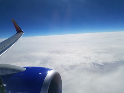 20170214_125013.jpg