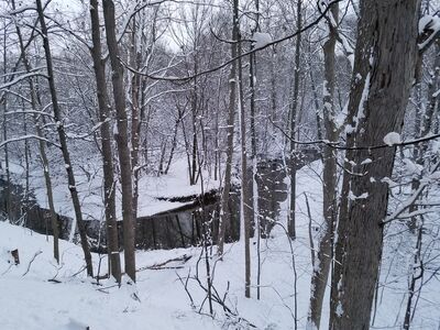 20170303_065039.jpg