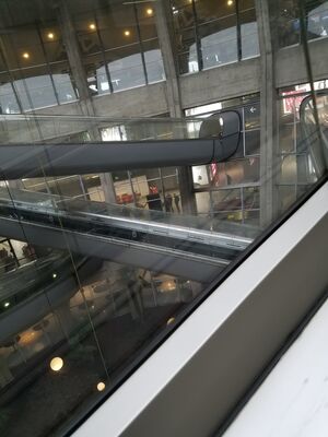 20170324_085948.jpg