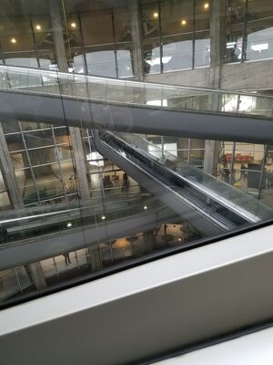 20170324_085952.jpg