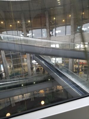 20170324_085954.jpg