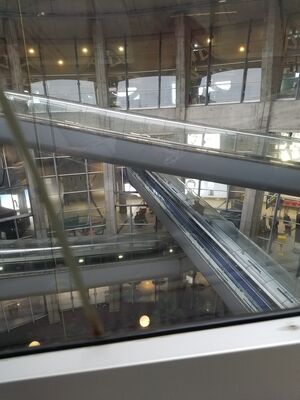 20170324_085956.jpg