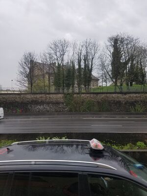 20170324_095426.jpg