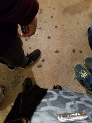20170325_100834.jpg