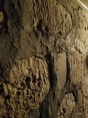 20170325_101021.jpg