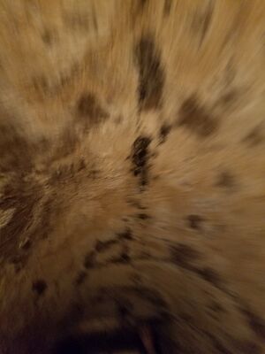 20170325_101314.jpg