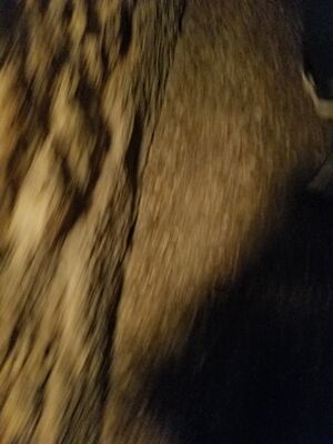 20170325_101332.jpg