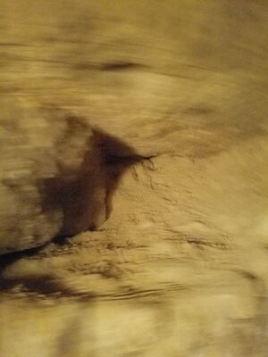 20170325_101525.jpg