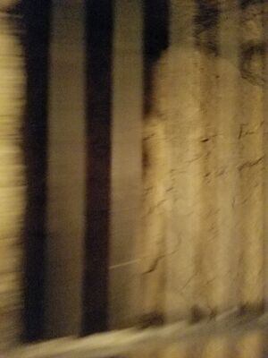 20170325_101533.jpg