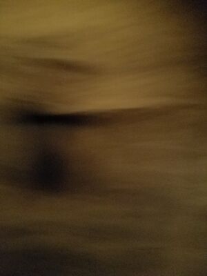 20170325_101540.jpg