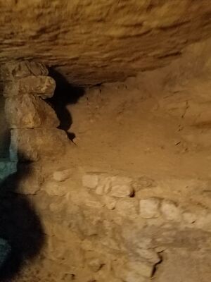 20170325_102142.jpg