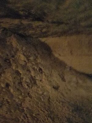 20170325_102148.jpg