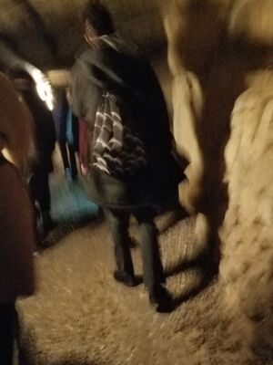 20170325_102203.jpg