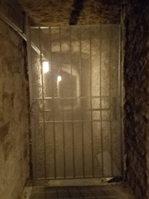 20170325_102319.jpg