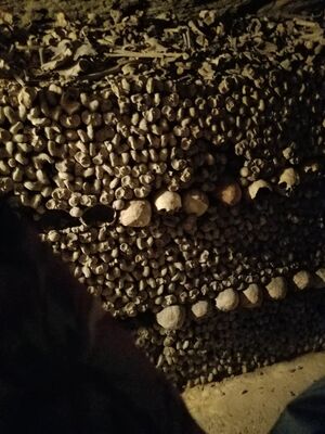 20170325_103011.jpg