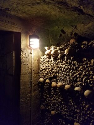 20170325_103018.jpg