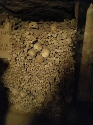20170325_103218.jpg