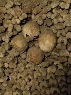 20170325_103224.jpg