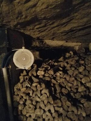 20170325_103354.jpg