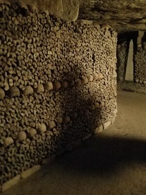 20170325_103413.jpg