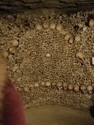 20170325_103430.jpg