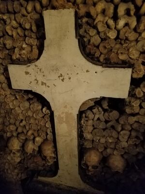 20170325_103509.jpg