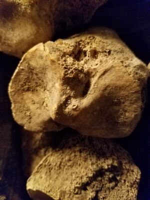 20170325_103532.jpg
