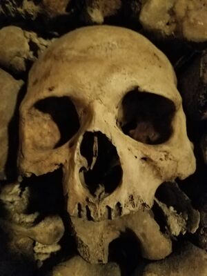 20170325_103546.jpg