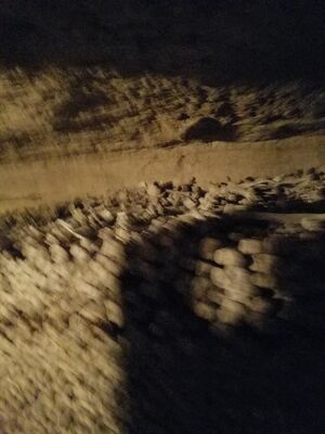 20170325_103708.jpg