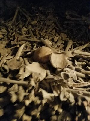 20170325_103710.jpg