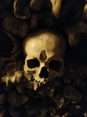 20170325_103715.jpg