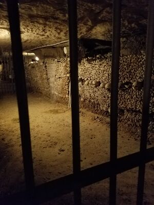 20170325_103746.jpg