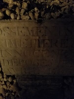 20170325_103820.jpg