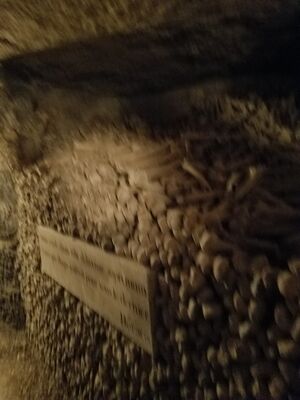 20170325_103832.jpg