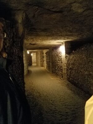 20170325_104034.jpg