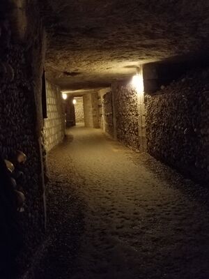 20170325_104039.jpg
