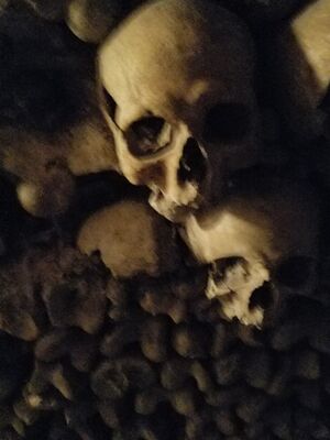20170325_104056.jpg