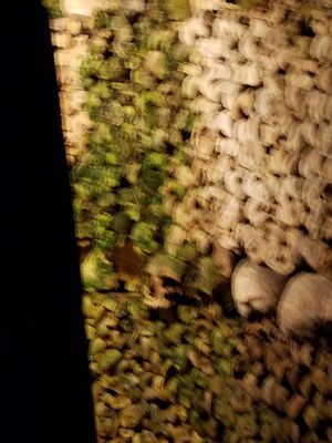 20170325_104240.jpg