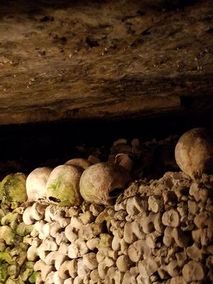 20170325_104246.jpg