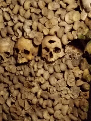 20170325_104320.jpg
