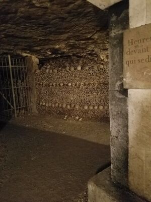 20170325_104524.jpg
