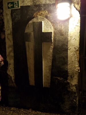 20170325_104639.jpg