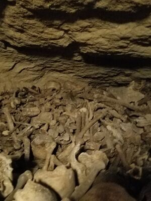 20170325_104758.jpg