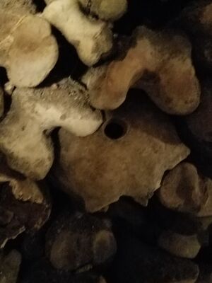 20170325_104806.jpg