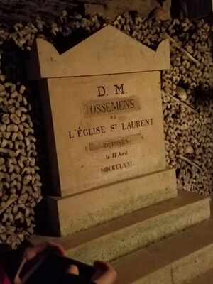 20170325_104847.jpg
