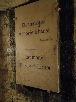20170325_104916.jpg
