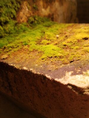 20170325_105016.jpg