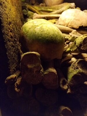 20170325_105150.jpg