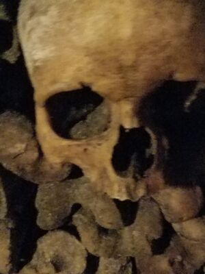 20170325_105353.jpg